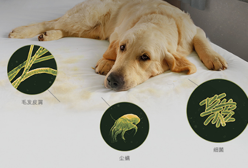大發(fā)寶家居 | 春夏季節(jié)，如何對(duì)付蠢蠢欲動(dòng)的螨蟲？請(qǐng)接招