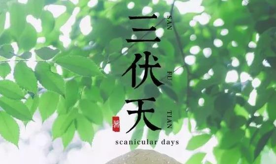 三伏天,最適合曬曬曬！