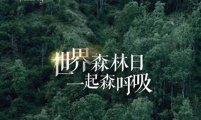 世界森林日，讓自然之美森森不息！