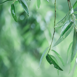 谷雨時節(jié)||谷潤萬物，清新怡人，萬物復(fù)蘇